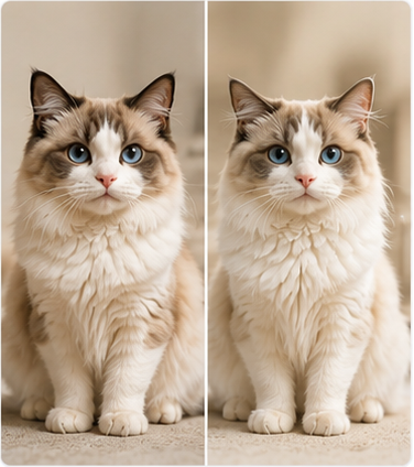 Olivia Taylor's AI pet style transformation case